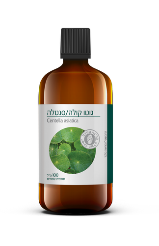 غوتو كولا/سينتيلا | كينتيللا اسياتيكا | طب الأعشاب | 100 مل مستخلص عشبي