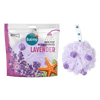Balmy | ספוג רחצה עם סבון | לבנדר | Balmy — Lavender (Bath Pouf with Soap Pieces)