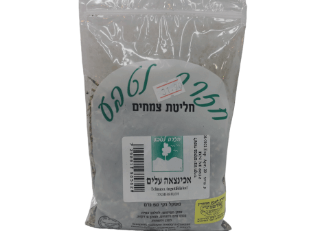 חליטת אכינצאה 20 יום - תוספי תזונה פית ושורש