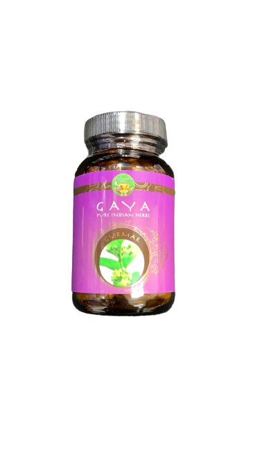 GAYA תוסף תזונה טבעי - 90 כמוסות של צמחי מרפא הודים Pure Indian Herbs