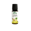 زيت الزنجبيل العطري 10 مل - منتج العناية الشخصية الطبيعي من ROOTS