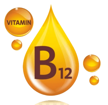 ויטמין B12 חדש