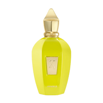 בושם יוניסקס | Xerjoff Amabile | מכיל 100 מ