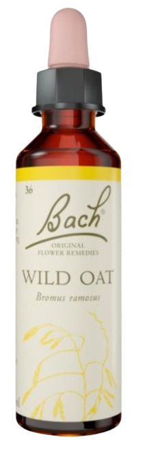 شوفان بري | قطرات شرب تعتمد على خلاصة زهور باخ | تحتوي على 20 مل |