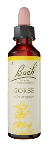 GORSE | טיפות לשתייה על בסיס תמציות פרחי באך | מכיל 20 מ