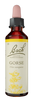 GORSE | טיפות לשתייה על בסיס תמציות פרחי באך | מכיל 20 מ"ל |