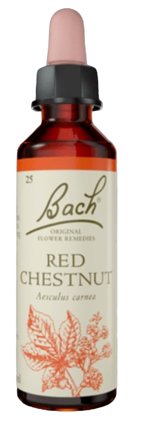 كستناء أحمر | قطرات شرب تعتمد على خلاصة زهرة باخ | تحتوي على 20 مل |