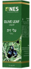 עלי זית | נוזלי | 100 מ"ל | NESS | OLIVE LEAF | Liquid