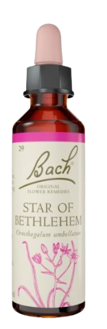 نجمة بيت لحم | قطرات شرب تعتمد على خلاصة زهور باخ | تحتوي على 20 مل |