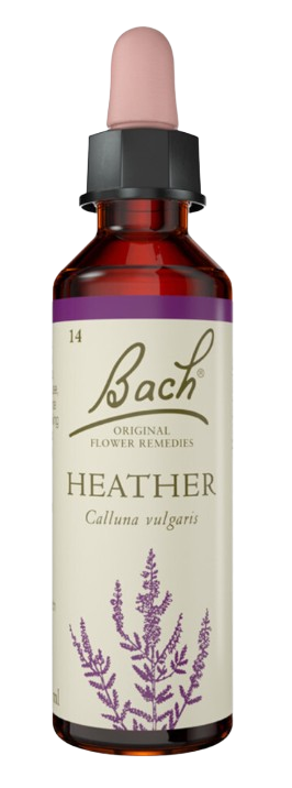 HEATHER | טיפות לשתייה על בסיס תמציות פרחי באך | מכיל 20 מ