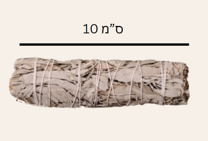 זר מרווה לבנה | 10 ס