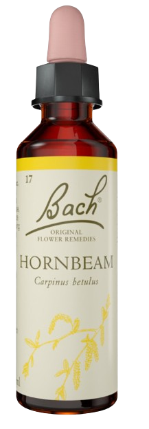 HORNBEAM | טיפות לשתייה על בסיס תמציות פרחי באך | מכיל 20 מ