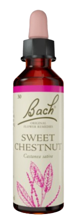 كستناء حلو | قطرات شرب تعتمد على خلاصة زهور باخ | تحتوي على 20 مل |