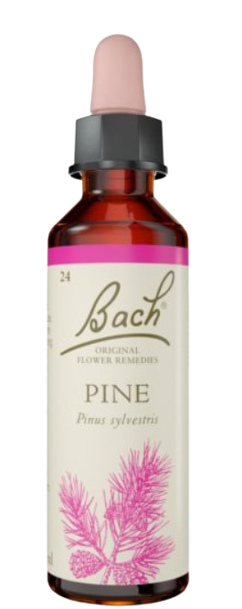 PINE | טיפות לשתייה על בסיס תמציות פרחי באך | מכיל 20 מ