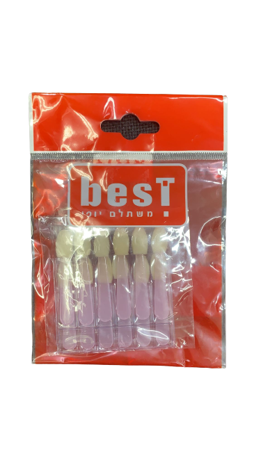 בסט | ספוג צללית | בידית | מכיל 12 יחידות